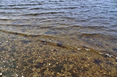 Su dalgaları ve su yüzeyleri sahil ve plaj