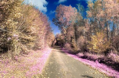 Güzel fantezi kızılötesi peyzaj purpel öğeleri ve derin mavi gökyüzü ile lots