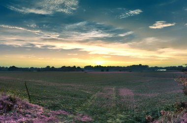 Güzel fantezi kızılötesi peyzaj purpel öğeleri ve derin mavi gökyüzü ile lots