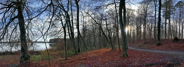 Panorama Północnych Niemczech Lasu Nad Jeziorem — Zdjęcie stockowe