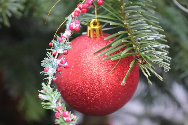 Decoración Navidad Colorida Con Luces Brillantes — Foto de Stock