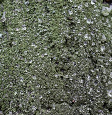 İlginç duvar çimento yapılarına yakından