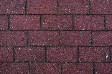 Parke taşı ve kaldırım yüksek çözünürlükte yüzeyi kadar kapatın