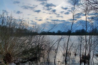 Ağaçlar ve yapraklarla dolu güzel sonbahar manzarası