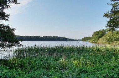 Kuzey Almanya yaz aylarında güzel göl manzaralı