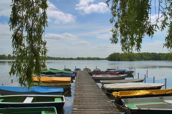 Schöner Seeblick Einem Norddeutschen Sommer — Stockfoto