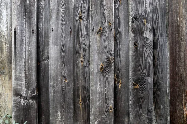 高分辨率的木材和木板的关闭表面 — 图库照片