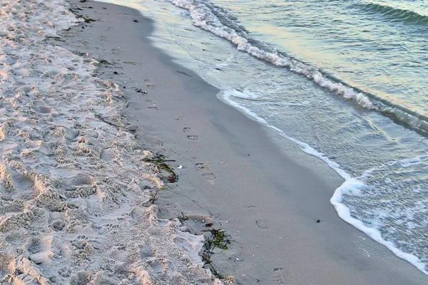 Άτομα Που Πρόκειται Για Μια Βόλτα Στην Παραλία Μια Θυελλώδη — Φωτογραφία Αρχείου