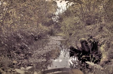 Güzel vintage bak sonbahar manzara
