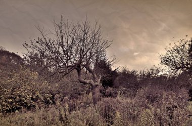 1960'larda vintage retro güzel manzara bak