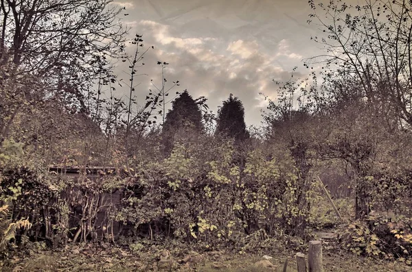 1960'larda vintage retro güzel manzara bak