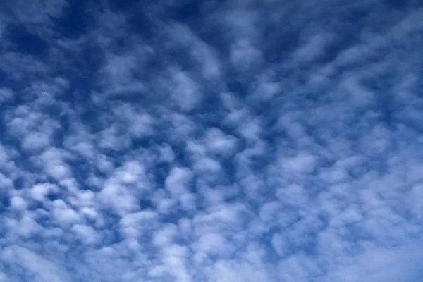 青い空にアルトの積雲の雲の美しいショット — ストック写真