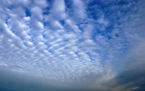 Mooi Shot Van Alto Cumulus Wolken Een Blauwe Hemel — Stockfoto