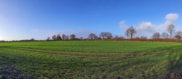 Gyönyörű Nagy Felbontású Táj Panoráma Hozott Nyár Észak Németországban — Stock Fotó