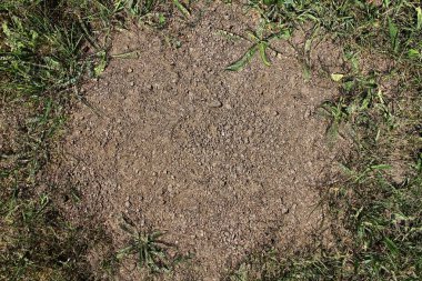 Kum zemin ve grunge yere kadar yüksek çözünürlüklü yüzeyi kapatın