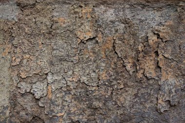 Yüksek çözünürlüklü yüzey yıpranmış boya bir duvar kadar kapatın