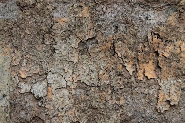 Yüksek çözünürlüklü yüzey yıpranmış boya bir duvar kadar kapatın