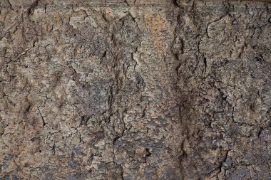 Yüksek çözünürlüklü yüzey yıpranmış boya bir duvar kadar kapatın