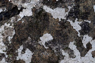 Yüksek çözünürlüklü yüzey yıpranmış boya bir duvar kadar kapatın