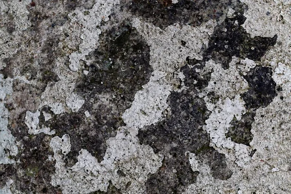 Detail Povrchu Vysokým Rozlišením Zvětralé Barvy Zeď — Stock fotografie