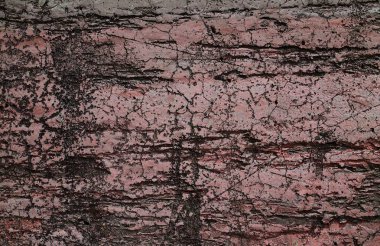 Yüksek çözünürlükte yaşlı yıpranmış çimento duvarlarında çatlaklar yakın çekim