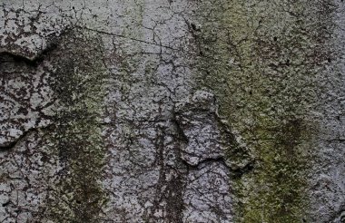 Yüksek çözünürlükte yaşlı yıpranmış çimento duvarlarında çatlaklar yakın çekim