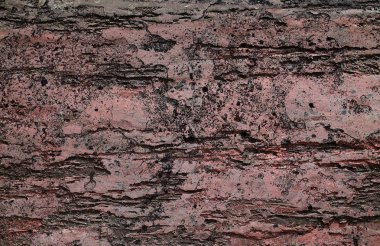 Yüksek çözünürlükte yaşlı yıpranmış çimento duvarlarında çatlaklar yakın çekim