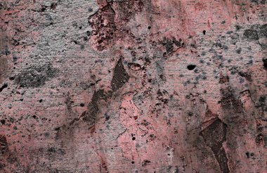 Yüksek çözünürlükte yaşlı yıpranmış çimento duvarlarında çatlaklar yakın çekim