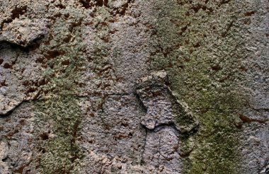 Yüksek çözünürlükte yaşlı yıpranmış çimento duvarlarında çatlaklar yakın çekim