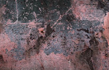 Yüksek çözünürlükte yaşlı yıpranmış çimento duvarlarında çatlaklar yakın çekim