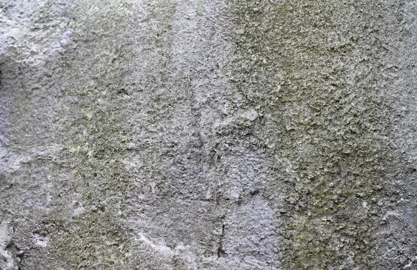 Yaşlı Yıpranmış Çimento Beton Duvarlar Farklı Binaların Çatlaklar Yakın Çekim — Stok fotoğraf