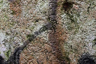 Yüksek çözünürlüklü yüzey yıpranmış beton duvar malzeme kökenden kadar kapatın