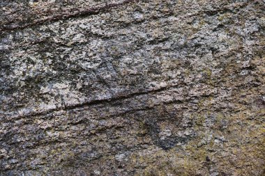 Yüksek çözünürlüklü yüzey yıpranmış beton duvar malzeme kökenden kadar kapatın