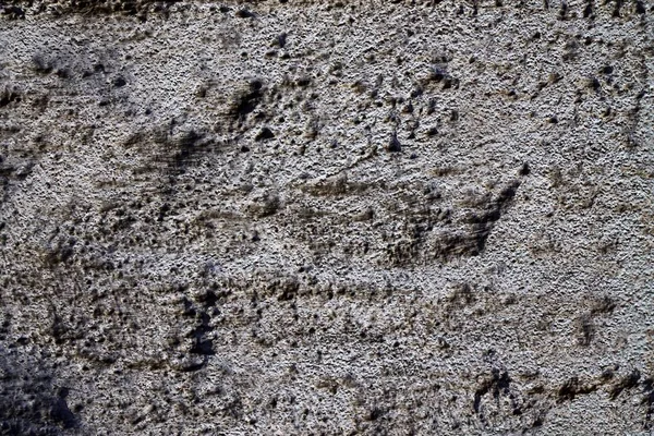 Yüksek Çözünürlüklü Yüzey Yıpranmış Beton Duvar Malzeme Kökenden Kadar Kapatın — Stok fotoğraf