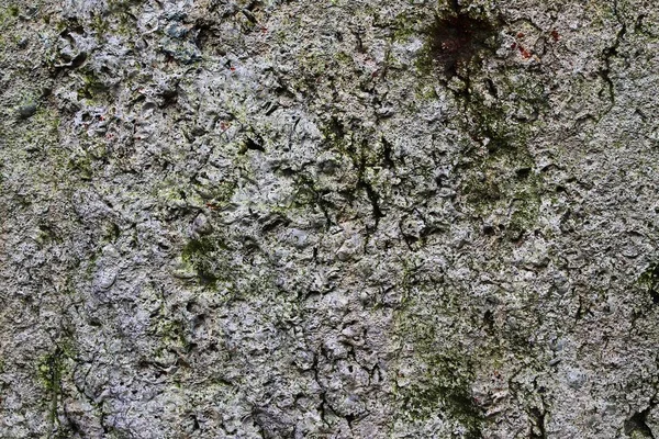 Zblízka Vysokým Rozlišením Povrchu Materiálu Pozadí Ošlehané Betonové Zdi — Stock fotografie