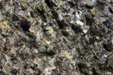 Yüksek çözünürlüklü yüzey yıpranmış beton duvar malzeme kökenden kadar kapatın