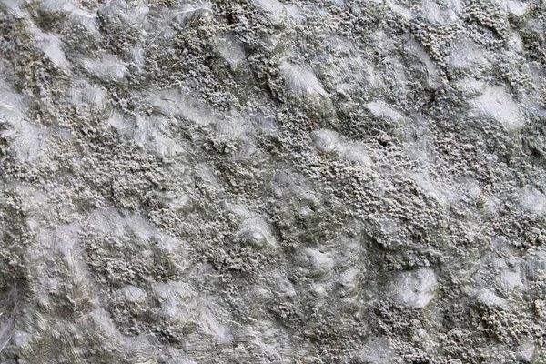 Close High Resolution Surface Weathered Concrete Wall Material Backgrounds — Stock Photo, Image