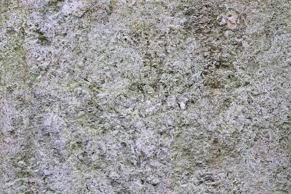 Κοντινό Επιφάνεια Υψηλής Ανάλυσης Ξεπερασμένο Τσιμεντένιο Τοίχο Υλικό Υπόβαθρο — Φωτογραφία Αρχείου