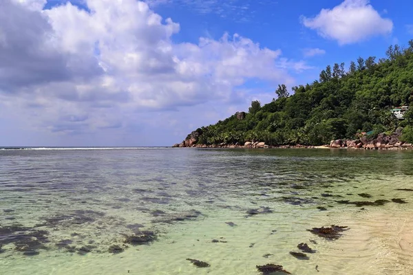 Belle Vue Sur Plage Plages Sable Blanc Sur Océan Indien — Photo