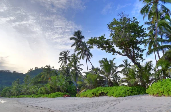 Vista Bonita Praia Das Praias Brancas Paraíso Das Ilhas Oceânicas — Fotografia de Stock