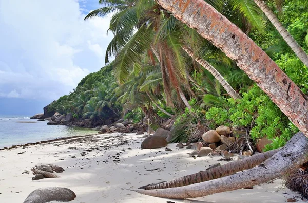 Красивый Вид Белые Пляжи Индейского Океанского Острова Сейшельские Острова — стоковое фото