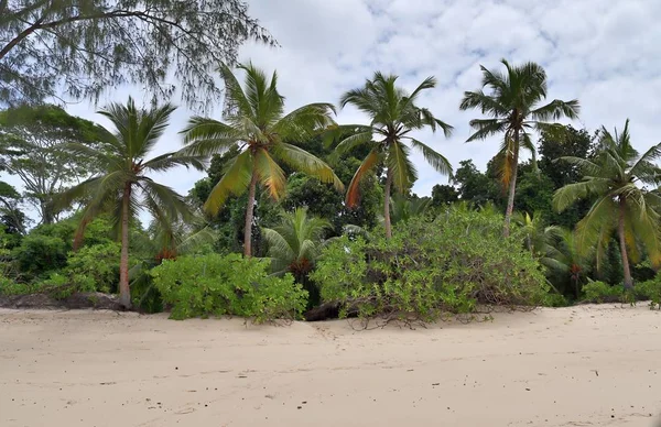 Vista Bonita Praia Das Praias Brancas Paraíso Das Ilhas Oceânicas — Fotografia de Stock