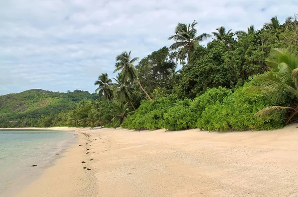 Красивый Вид Белые Пляжи Индейского Океанского Острова Сейшельские Острова — стоковое фото