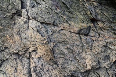 Granit yüzeyler ve malzemelerin yüksek çözünürlükte yakın çekim