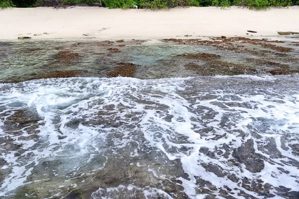 Superbes Vagues Océan Indien Sur Les Plages Île Paradisiaque Seychelles — Photo