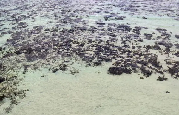 Barevné Mořské Dno Záběry Plážích Ostrově Seychely — Stock fotografie
