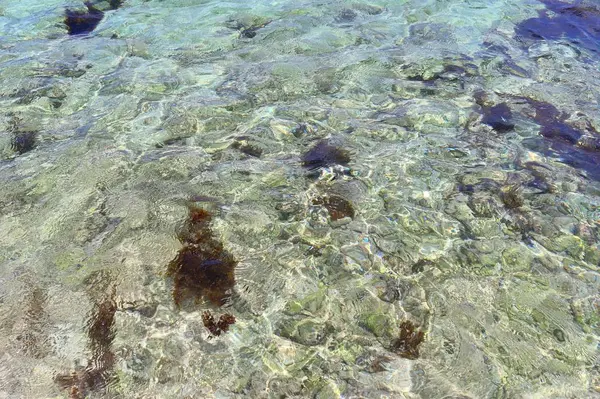 Fotos Coloridas Del Fondo Marino Tomadas Las Playas Isla Seychelles — Foto de Stock