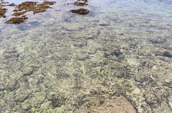 Barevné Mořské Dno Záběry Plážích Ostrově Seychely — Stock fotografie
