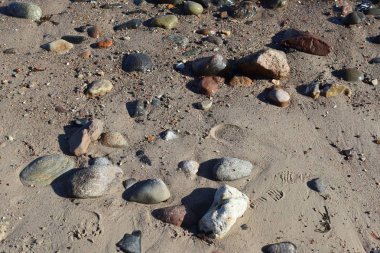 Kuzey Almanya'nın Baltık Denizi'nin plajda Beuatiful taş çakıl