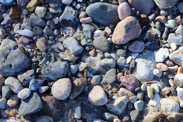 Pebbles Pedra Beuatiful Praia Mar Baltic Norte Alemanha — Fotografia de Stock